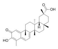Celastrol 雷公藤红素,CAS:34157-83-0