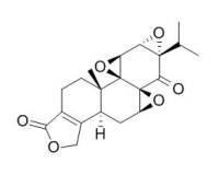 Triptonide 雷公藤内酯酮 CAS:38647-11-9