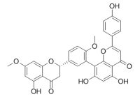 2,3-Dihydroamentoflavone 7,4'-dimethyl ether CAS:873999-88-3