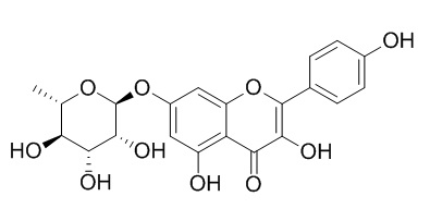 Kaempferol 7-O-rhamnoside 山柰酚-7-O-鼠李糖苷 CAS:20196-89-8