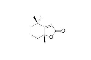 Dihydroactinidiolide 二氢猕猴桃内酯 CAS:17092-92-1