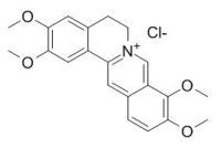 Palmatine hydrochloride 盐酸巴马汀,棕榈碱,CAS:10605-02-4