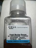 胎牛血清