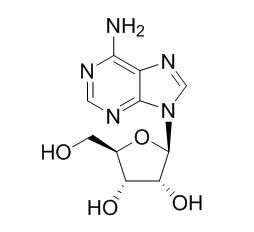Adenosine 腺苷 CAS:58-61-7