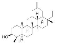 Lupeol 羽扇豆醇 CAS:545-47-1