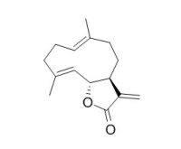 Costunolide 木香烃内酯,CAS:553-21-9