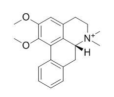 N-Methylnuciferine N-甲基荷叶碱 CAS:754919-24-9