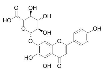 Scutellarin 野黄芩苷 CAS:27740-01-8