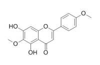 Pectolinarigenin 柳穿鱼黄素 CAS:520-12-7