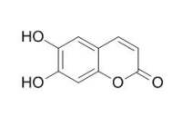 6,7-Dihydroxycoumarin 秦皮乙素,CAS:305-01-1