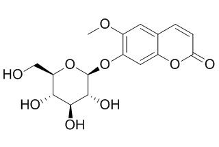Scopolin 东莨菪苷 CAS:531-44-2