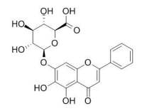Baicalin 黄芩苷 CAS:21967-41-9