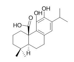Carnosic acid 鼠尾草酸  CAS: 3650-09-7