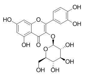Isoquercitrin 异槲皮苷  CAS:482-35-9