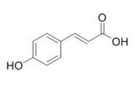 trans-4-Hydroxycinnamic acid 对香豆酸 CAS:501-98-4
