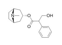 Atropine 颠茄碱CAS：51-55-8