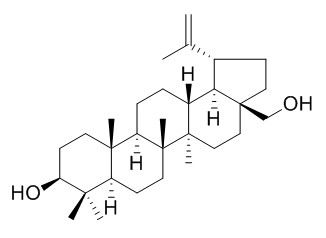 Betulin 白桦脂醇 CAS:473-98-3