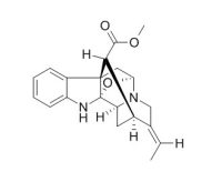Picrinine 鸭脚树叶碱,CAS:4684-32-6
