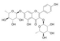 Kaempferitrin CAS:482-38-2