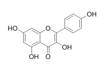 Kaempferol 莰菲醇 CAS:520-18-3