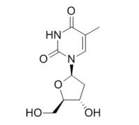 Thymidine beta-胸苷 CAS：50-89-5
