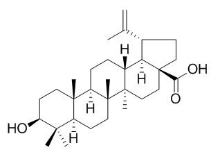 Betulinic acid 白桦脂酸 CAS:472-15-1