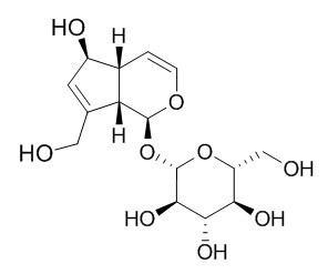 Aucubin 桃叶珊瑚苷 CAS:479-98-1