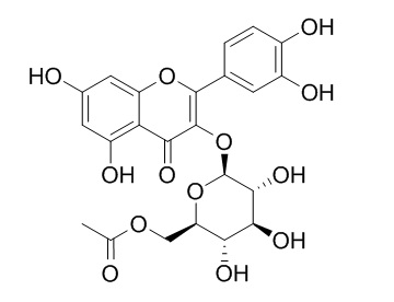 Quercetin-3-O-glucose-6''-acetate 槲皮素-3-O-葡萄糖苷-6''-乙酯 CAS:54542-51-7
