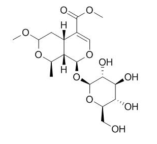 7-O-Methyl morroniside 7-O-甲基莫诺苷 CAS:41679-97-4