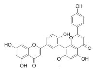 Sotetsuflavone 苏铁双黄酮 CAS:2608-21-1