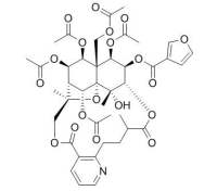 Wilforgine 雷公藤吉碱CAS:37239-47-7