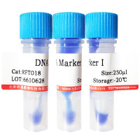 马啉乙磺酸钾(39946-25-3)(99%)