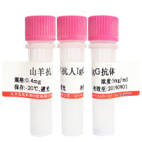 FITC标记羊抗人IgG抗体现货供应