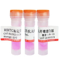 GFP标签鼠源单克隆抗体优惠促销