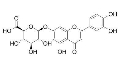 Luteolin-7-O-glucuronide 木犀草素-7-葡萄糖醛酸苷 CAS:29741-10-4