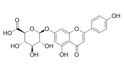 Apigenin-7-glucuronide 灯盏花甲素 CAS: 29741-09-1