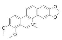 Chelerythrine 白屈菜红碱 CAS:34316-15-9