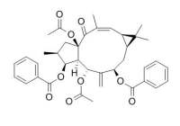 Euphorbia factor L2 大戟因子L2 CAS:218916-51-9