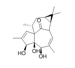 20-Deoxyingenol 20-去氧巨大戟萜醇 CAS:54706-99-9