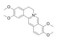 Palmatine 巴马汀,CAS:3486-67-7