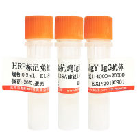 兔抗人IgM(μ链特异)抗体北京厂家