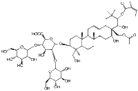 七叶皂苷D219944-46-4说明书