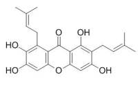 gamma-Mangostin γ倒捻子素 CAS:31271-07-5