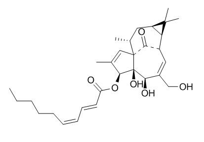 3-O-(2'E,4'Z-Decadienoyl)ingenol 3-O-(2'E,4'Z-癸二烯酰基)巨大戟二萜醇 CAS:84680-59-1