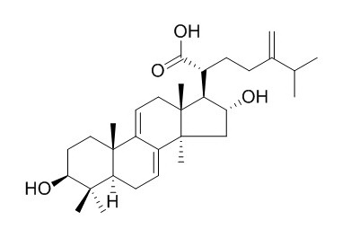 Dehydrotumulosic acid 去氢土莫酸 CAS:6754-16-1