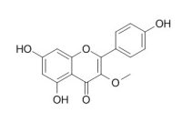 Isokaempferide 异山柰素 CAS:1592-70-7