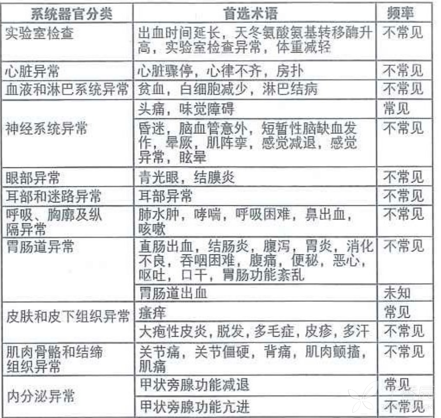 图片预览