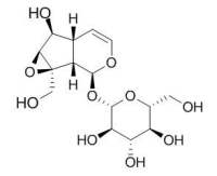 Catalpol 梓醇 CAS:2415-24-9
