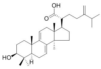 Dehydroeburicoic acid 二氢齿孔酸 CAS:6879-05-6