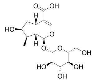 Loganic acid 马钱苷酸,CAS：22255-40-9
